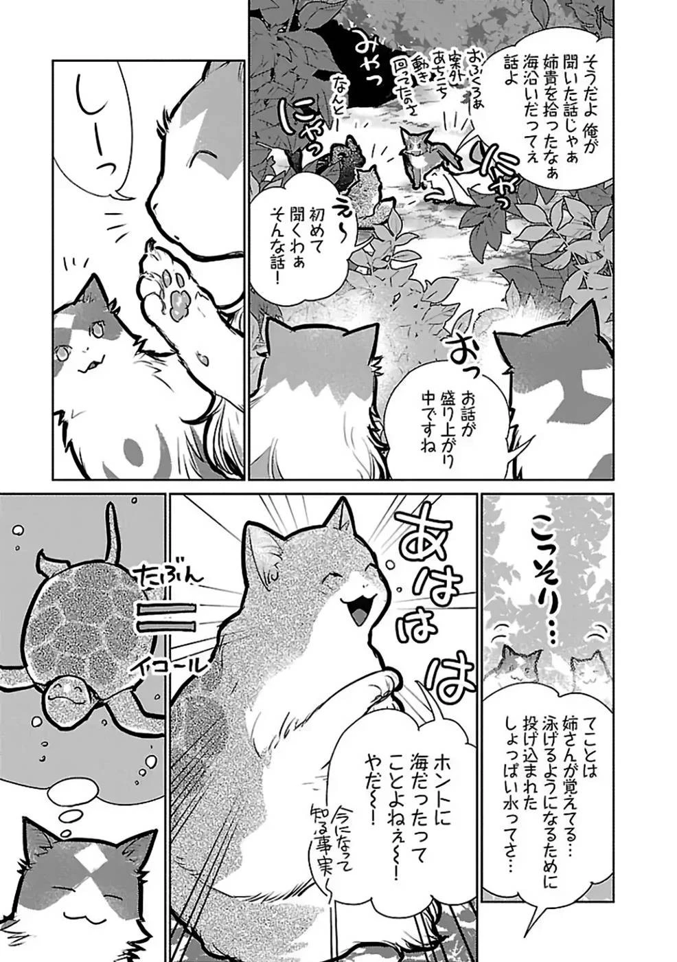 猫と竜 第29話 - 31
