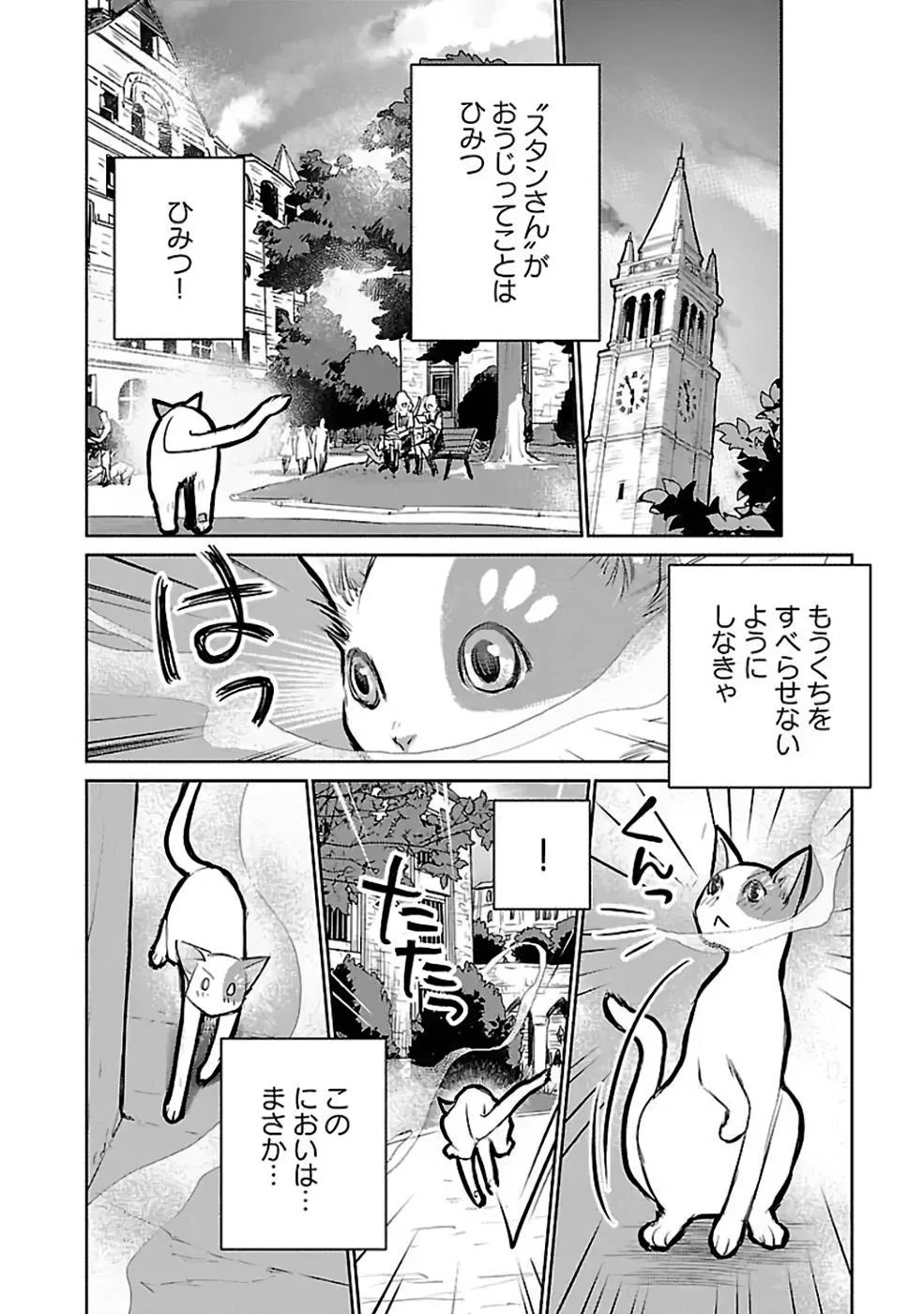 猫と竜 第30話 - 26