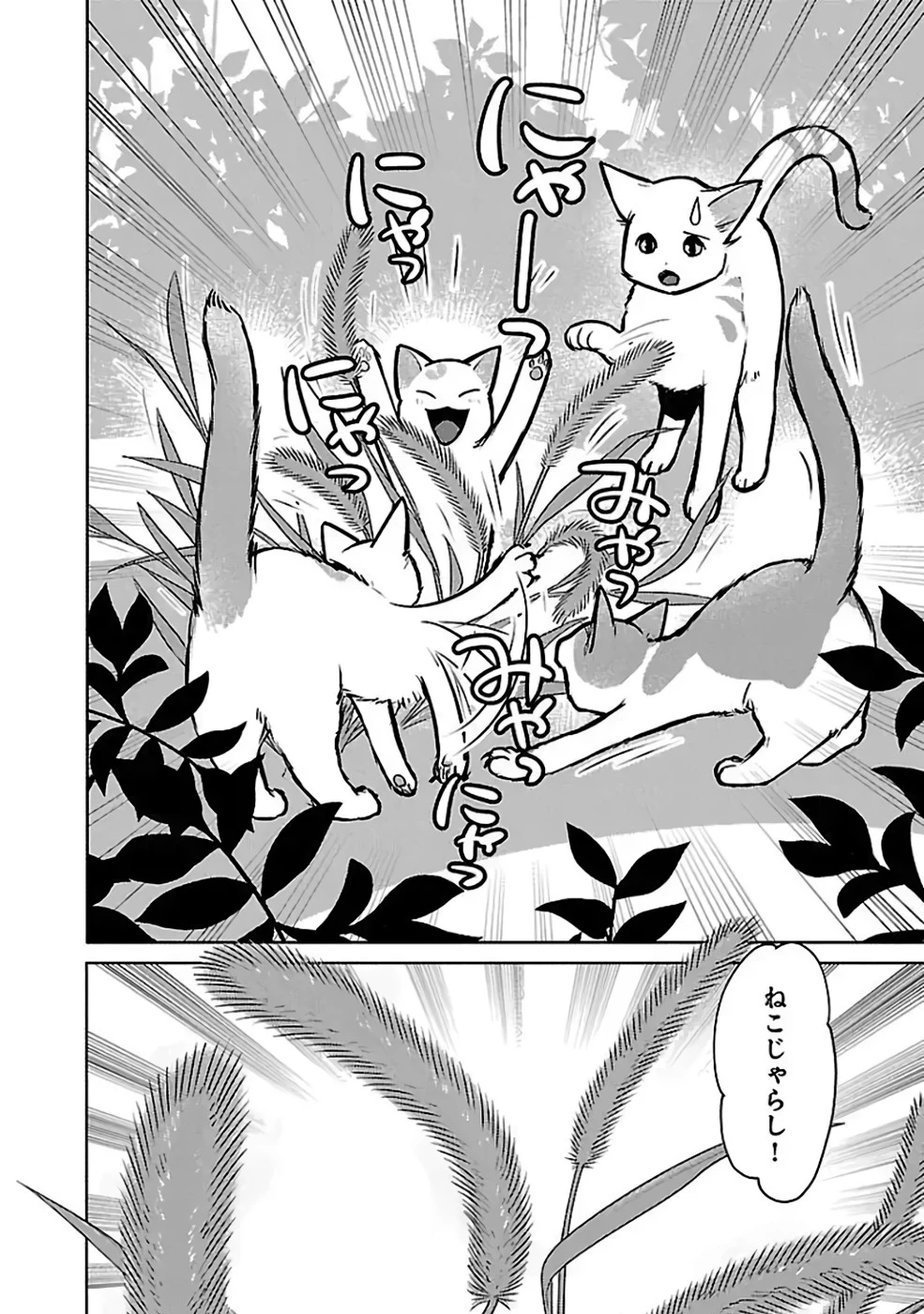 猫と竜 第36話 - 22