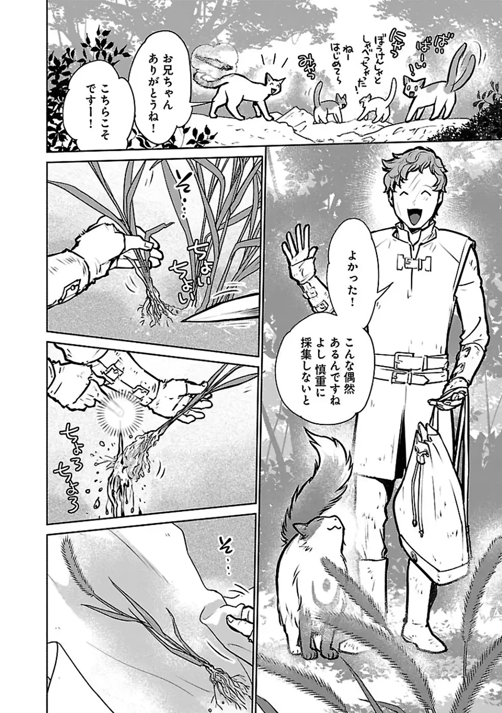 猫と竜 第36話 - 26