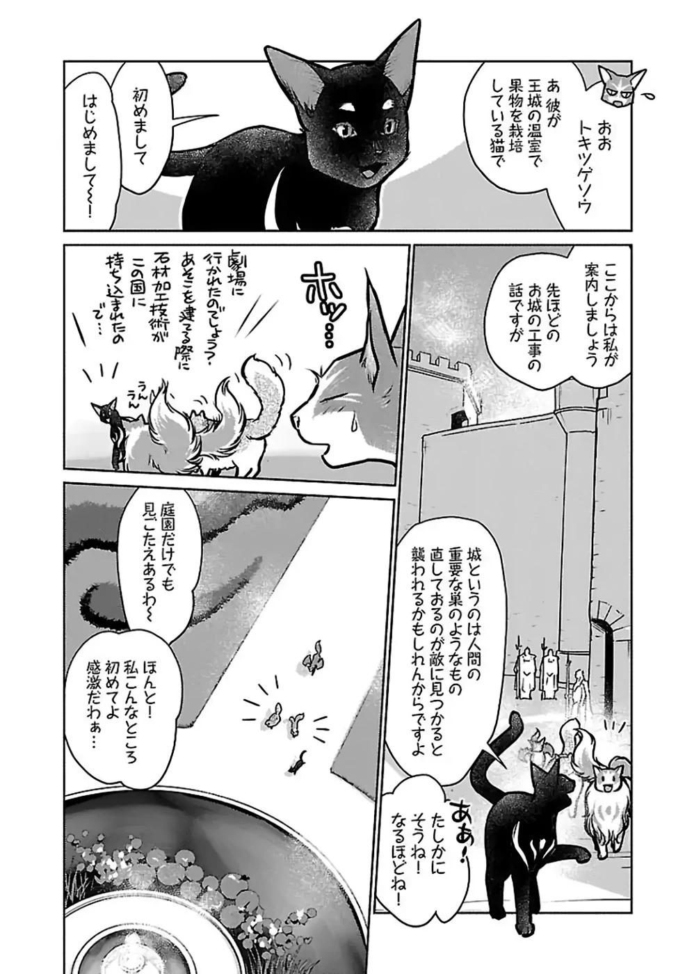 猫と竜 第37話 - 16