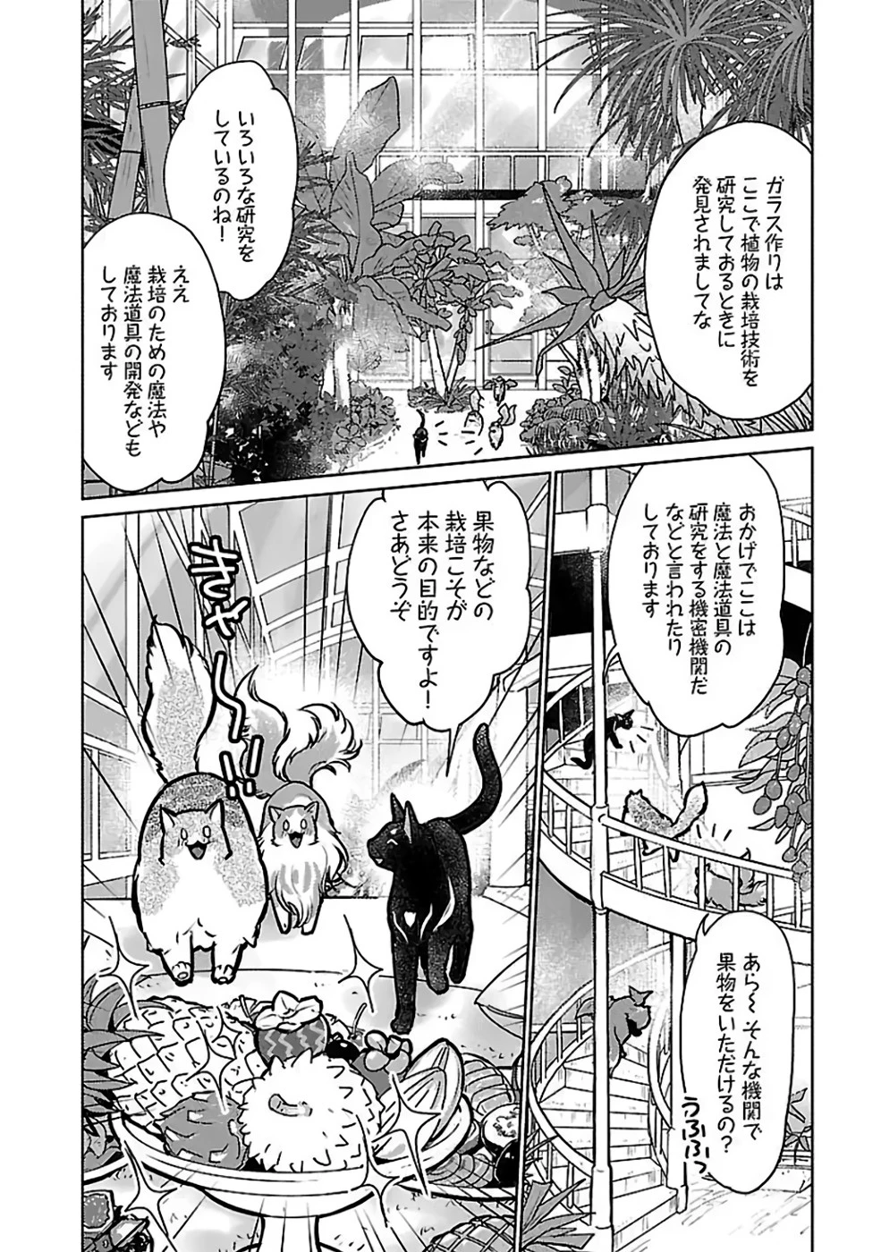 猫と竜 第37話 - 18