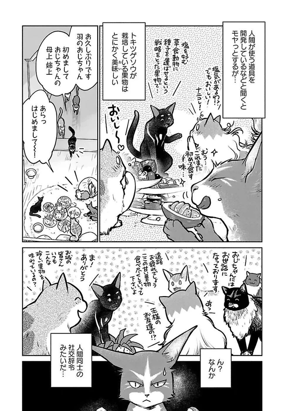 猫と竜 第37話 - 19