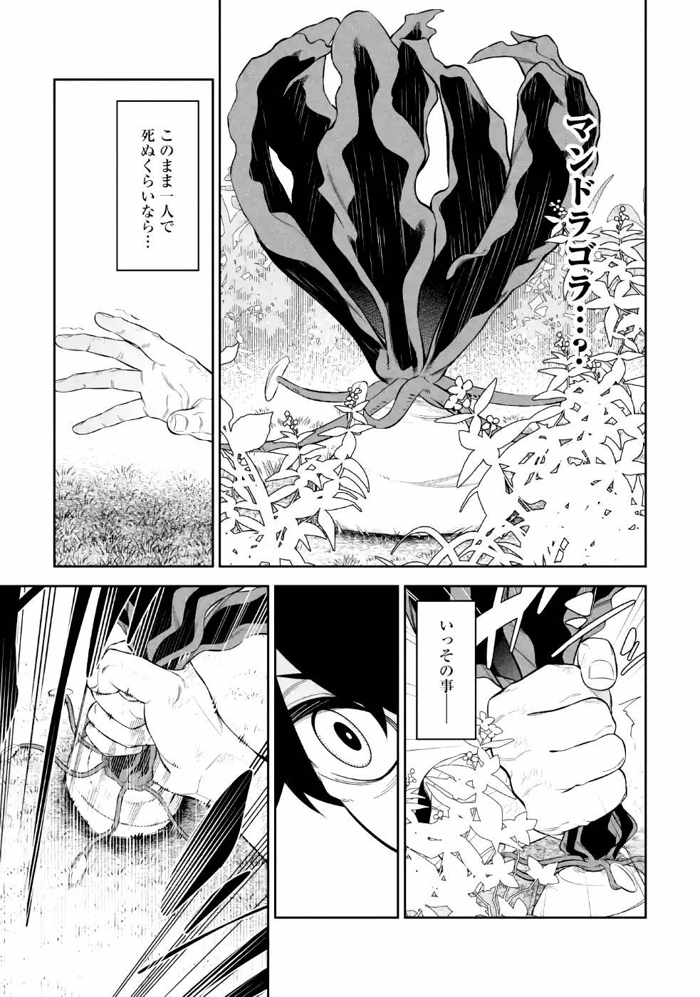 初級魔法しか使えず、火力が足りないので徹底的に攻撃魔法の回数を増やしてみることにしました 第4話 - 9