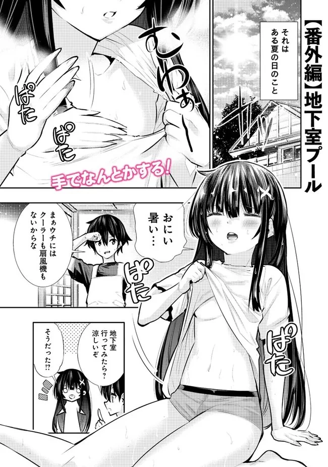 地下室ダンジョン　～貧乏兄妹は娯楽を求めて最強へ～ 第25.5話 - 1
