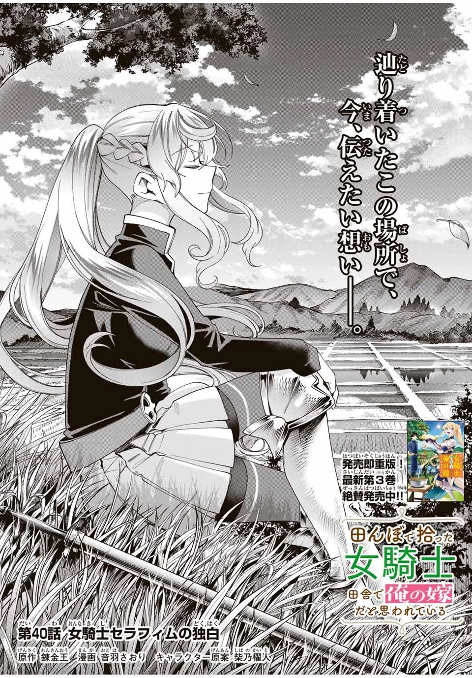 田んぼで拾った女騎士、田舎で俺の嫁だと思われている 第40話 - 3