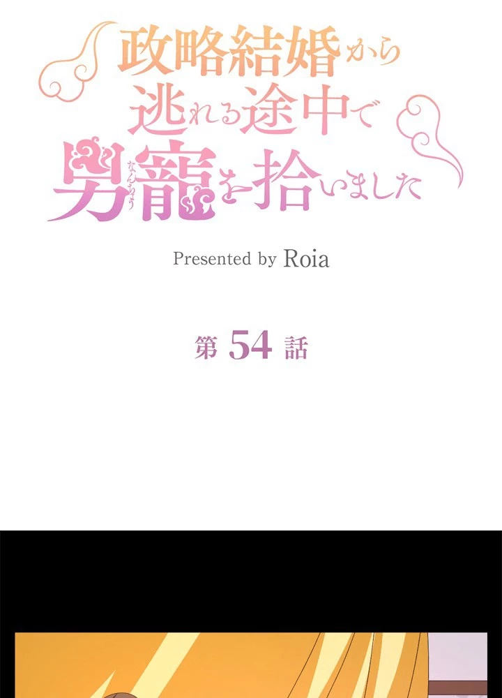政略結婚から逃れる途中で男寵を拾いました 第54話 - 5