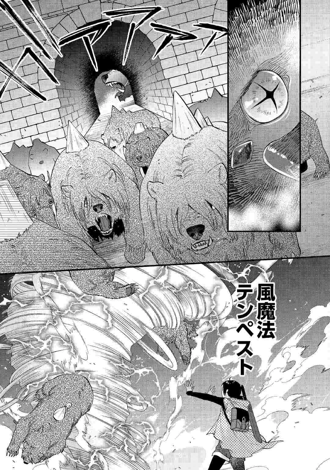 転移先は薬師が少ない世界でした 第14話 - 19