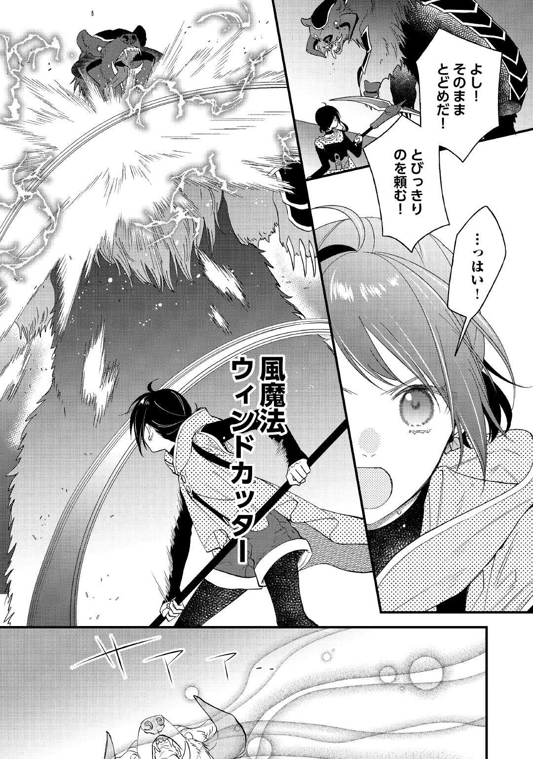 転移先は薬師が少ない世界でした 第14話 - 26