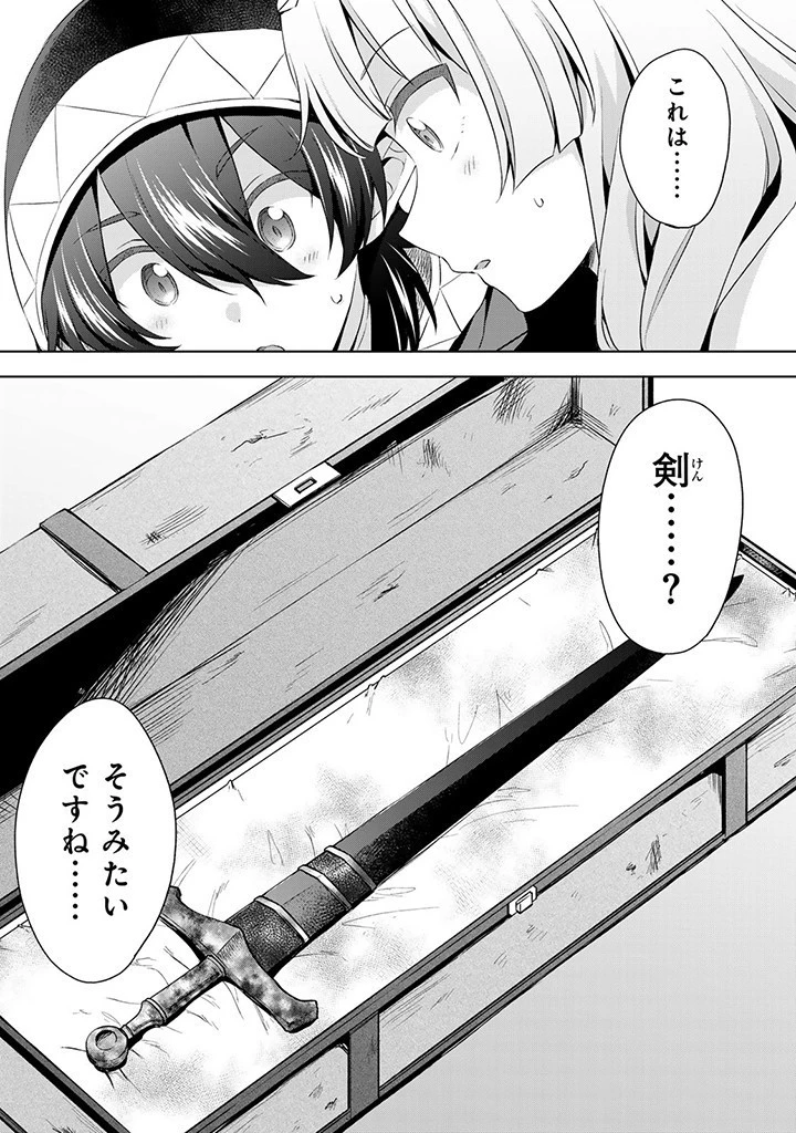 真の聖女である私は追放されました。だからこの国はもう終わりです 第33.1話 - 2