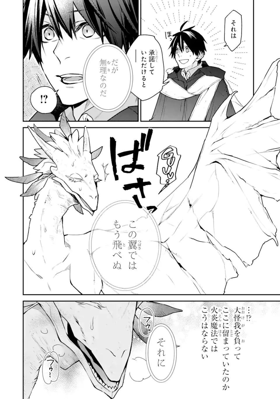 最強の魔導士。ひざに矢をうけてしまったので田舎の衛兵になる 第31.2話 - 6