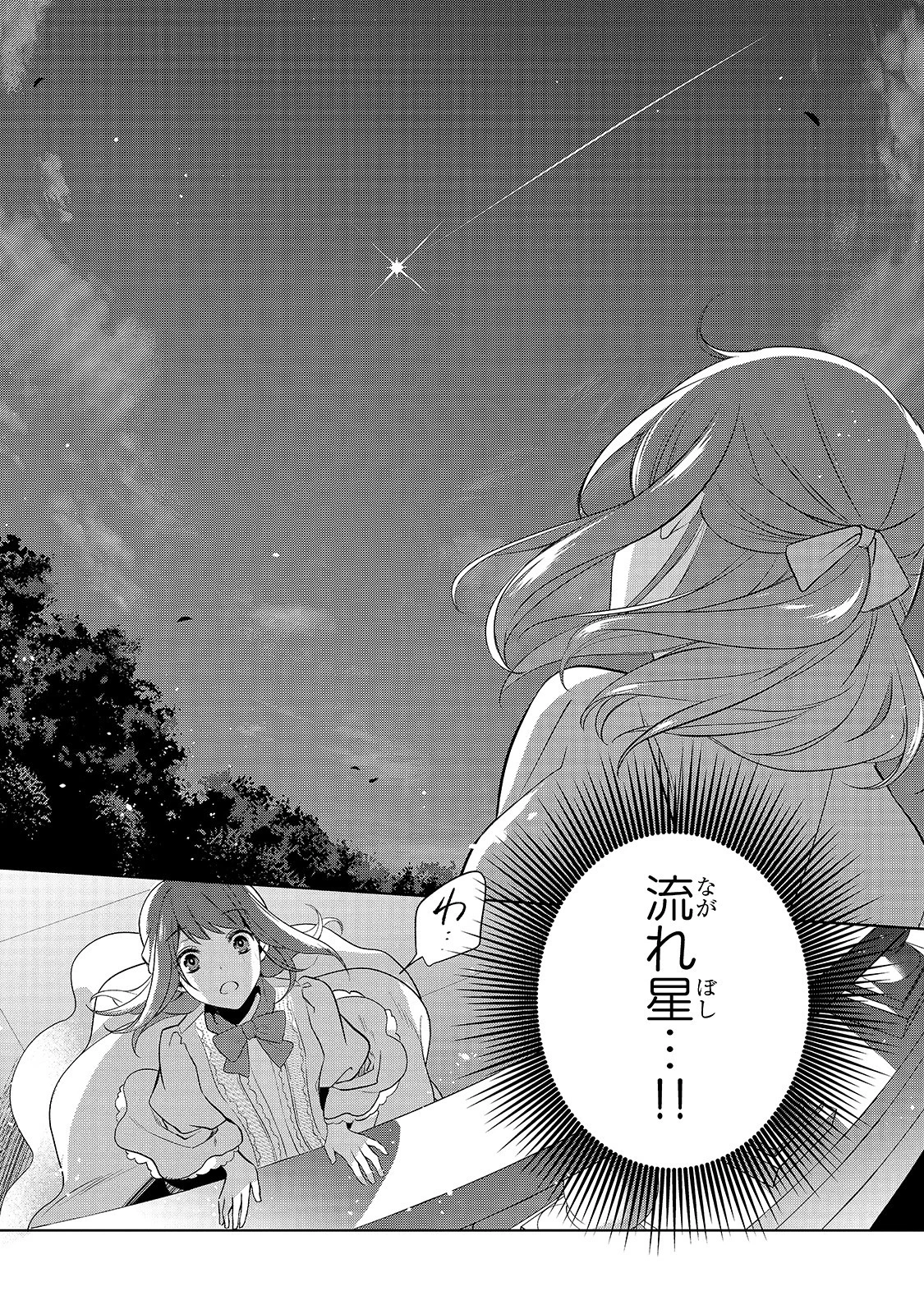 亡霊魔道士の拾い上げ花嫁 第1話 - 12