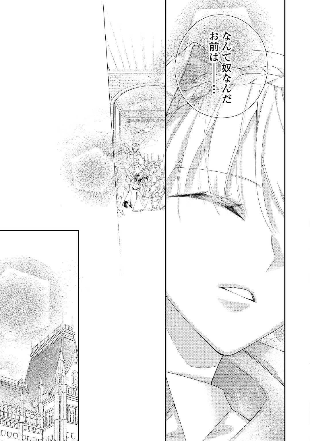 元獣医の令嬢は婚約破棄されましたが、もふもふたちに大人気です！ 第4話 - 13