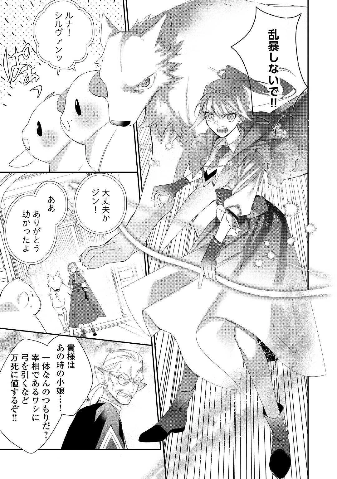 元獣医の令嬢は婚約破棄されましたが、もふもふたちに大人気です！ 第7話 - 11