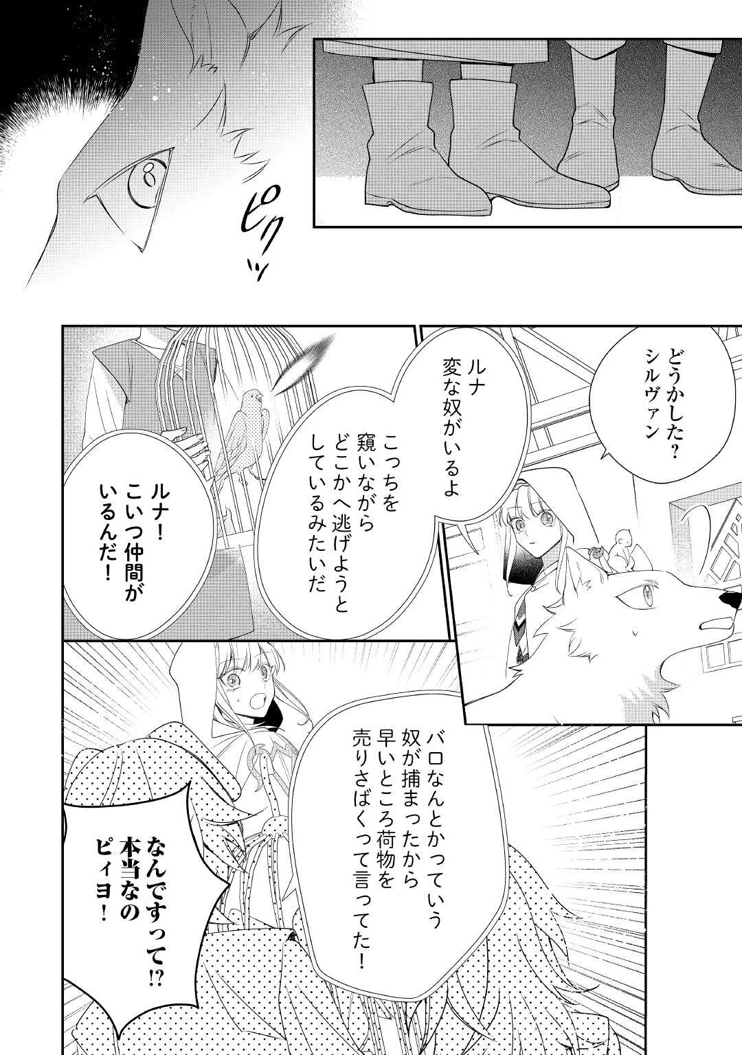 元獣医の令嬢は婚約破棄されましたが、もふもふたちに大人気です！ 第9話 - 12