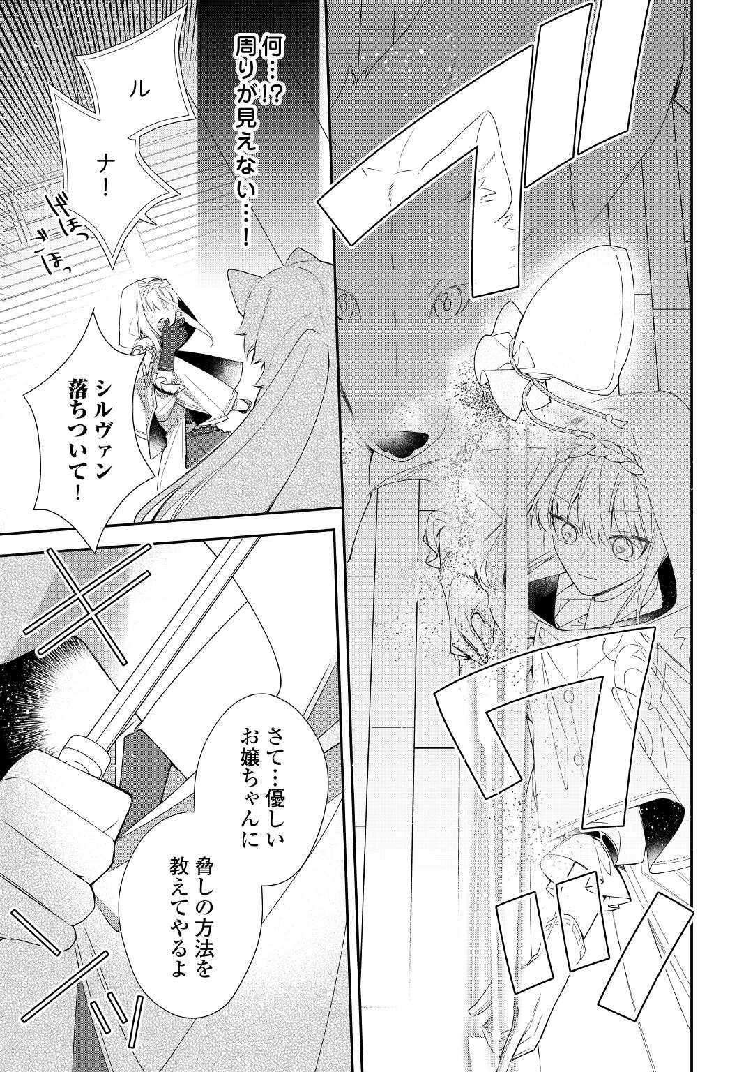 元獣医の令嬢は婚約破棄されましたが、もふもふたちに大人気です！ 第9話 - 19