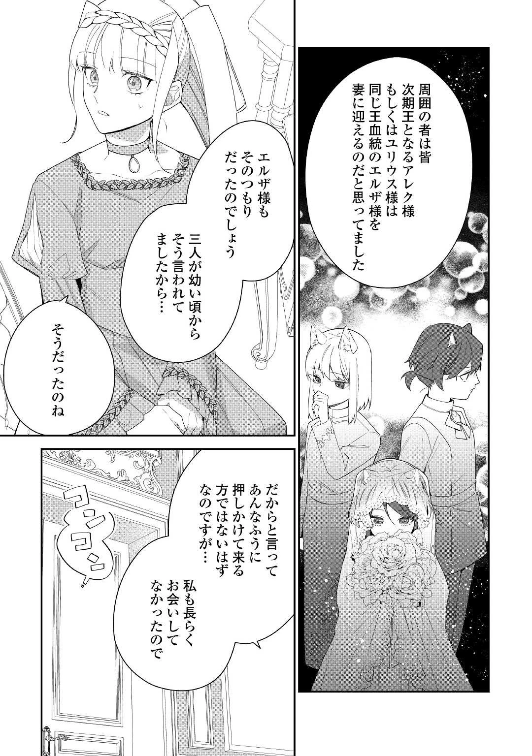元獣医の令嬢は婚約破棄されましたが、もふもふたちに大人気です！ 第13話 - 9