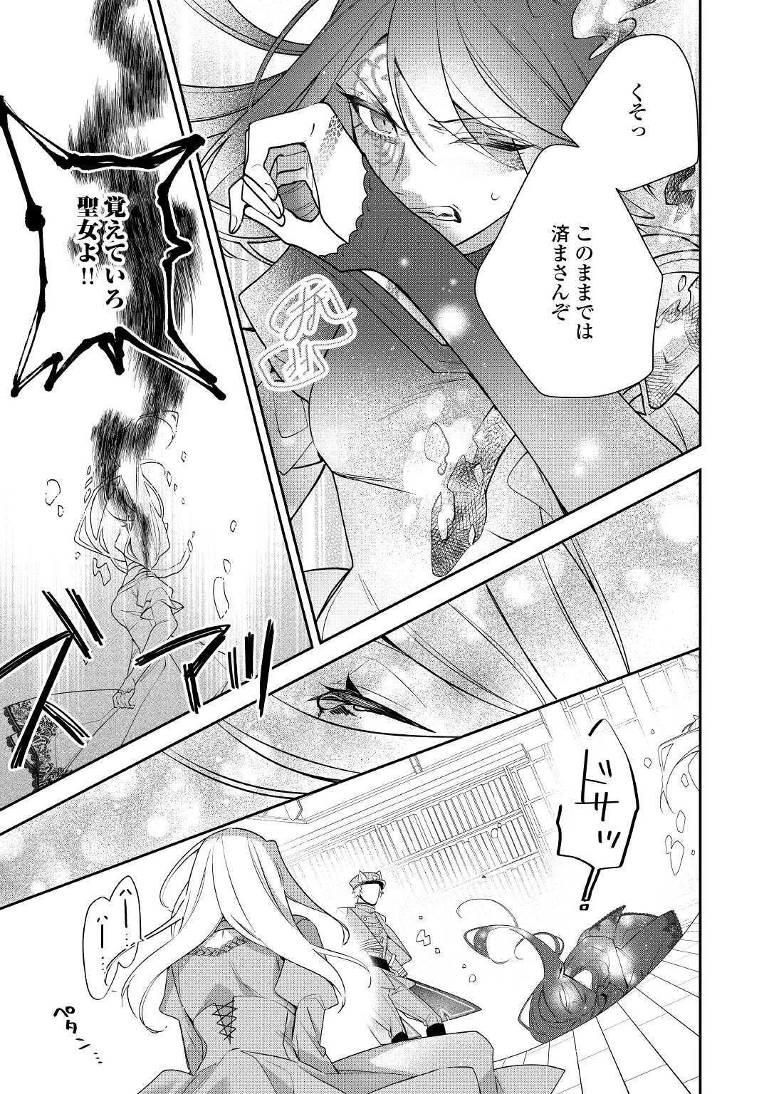 元獣医の令嬢は婚約破棄されましたが、もふもふたちに大人気です！ 第14話 - 27