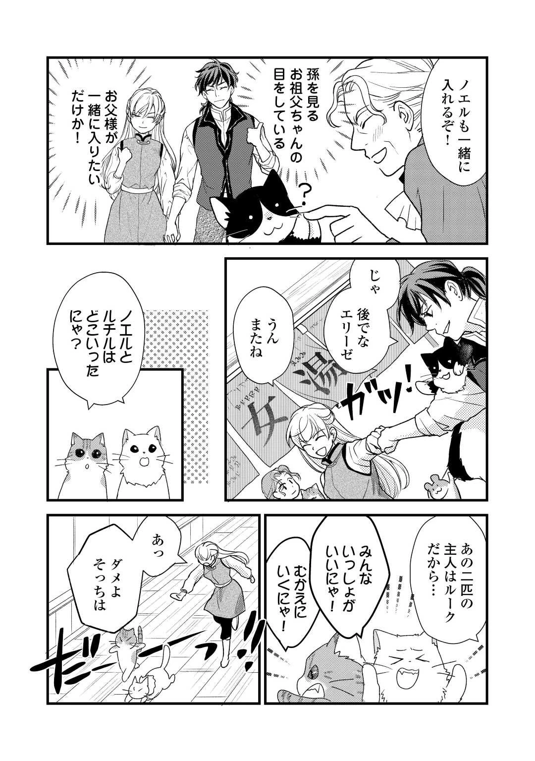 元獣医の令嬢は婚約破棄されましたが、もふもふたちに大人気です！ 第21話 - 10