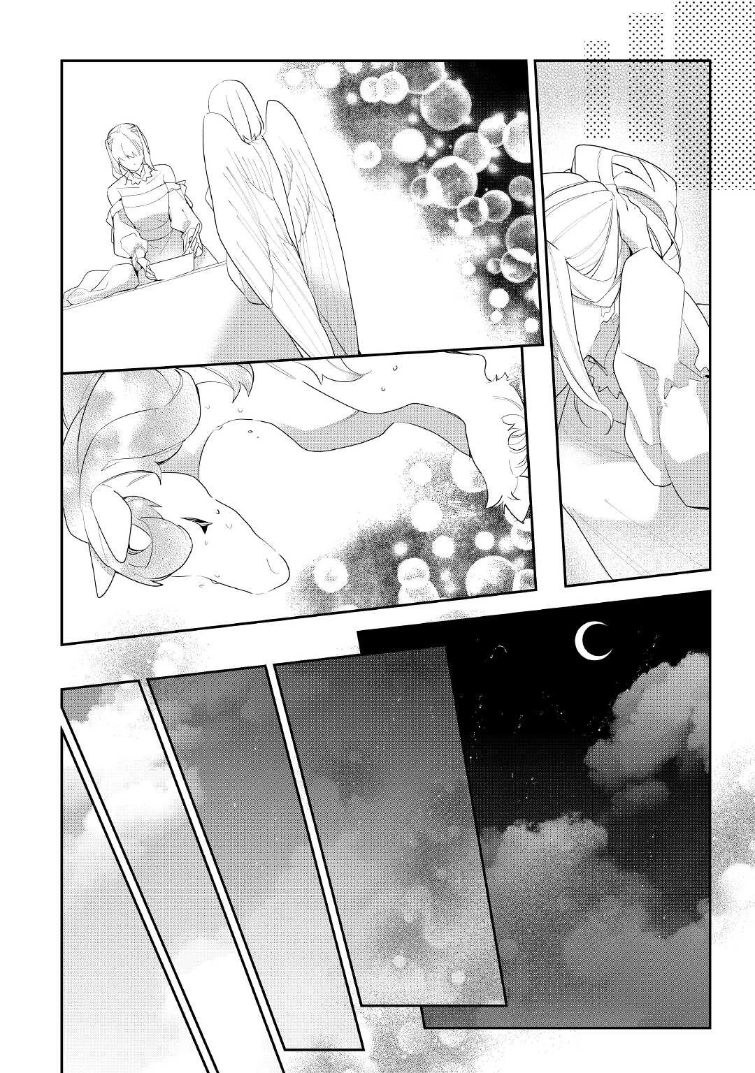 元獣医の令嬢は婚約破棄されましたが、もふもふたちに大人気です！ 第22話 - 12