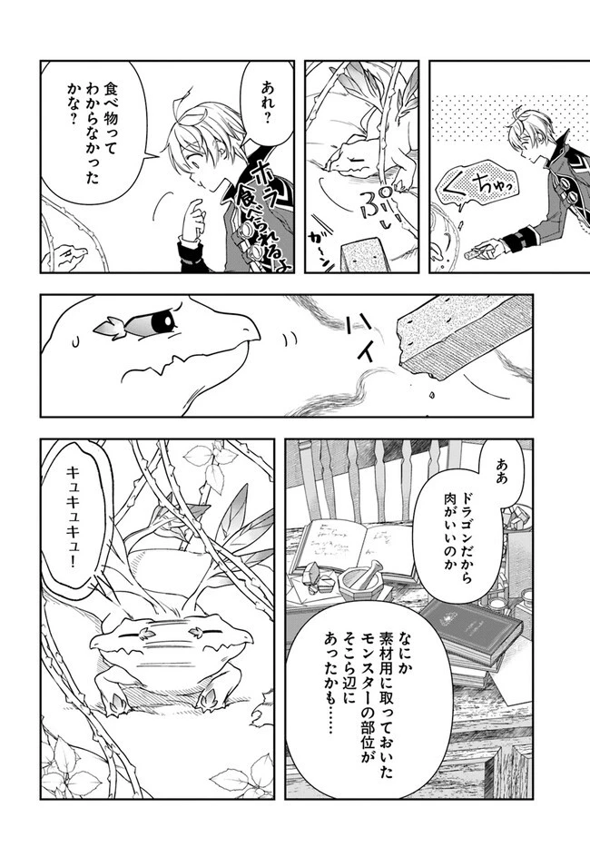 辺境の錬金術師　～今更予算ゼロの職場に戻るとかもう無理～ 第22.2話 - 6