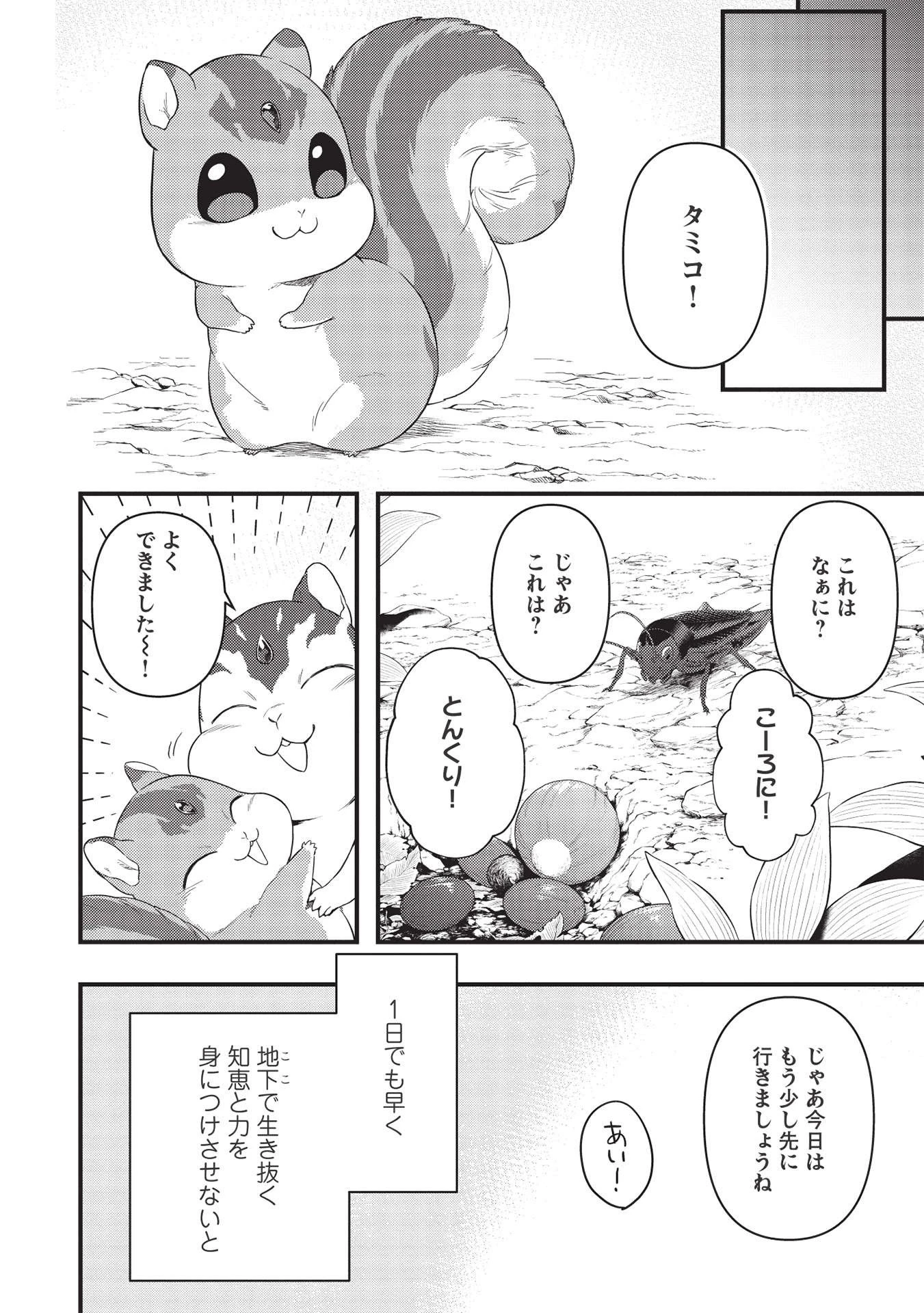 迷宮メトロ ～目覚めたら最強職だったのでシマリスを連れて新世界を歩く～ 第16話 - 4