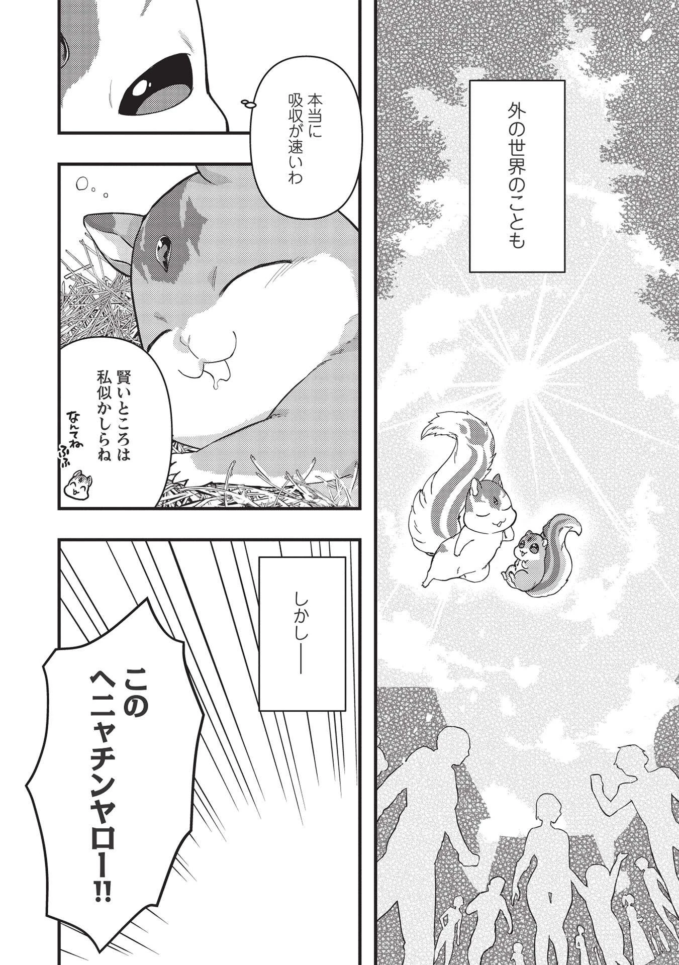 迷宮メトロ ～目覚めたら最強職だったのでシマリスを連れて新世界を歩く～ 第16話 - 6