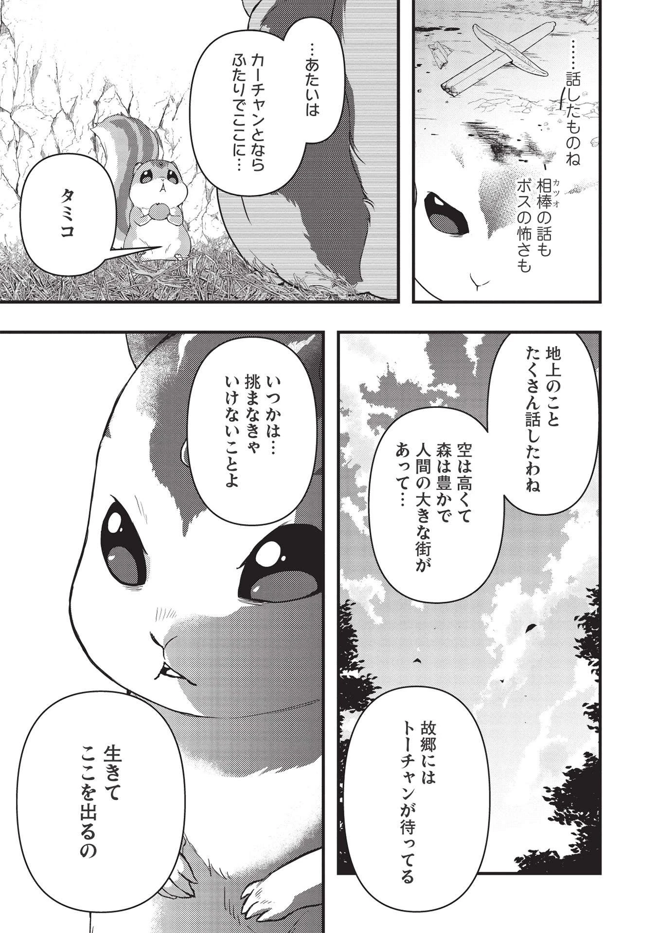 迷宮メトロ ～目覚めたら最強職だったのでシマリスを連れて新世界を歩く～ 第16話 - 13