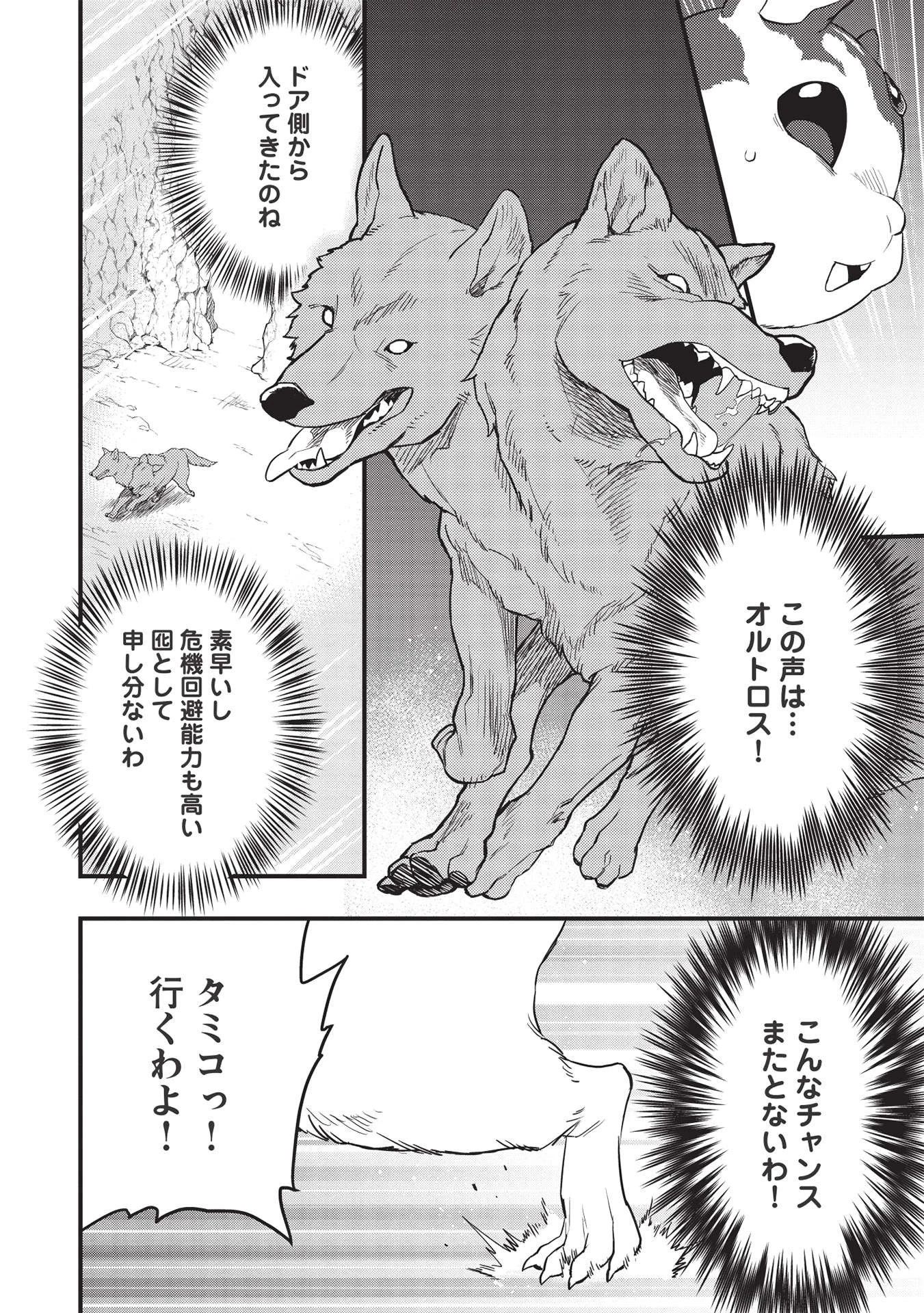 迷宮メトロ ～目覚めたら最強職だったのでシマリスを連れて新世界を歩く～ 第16話 - 18