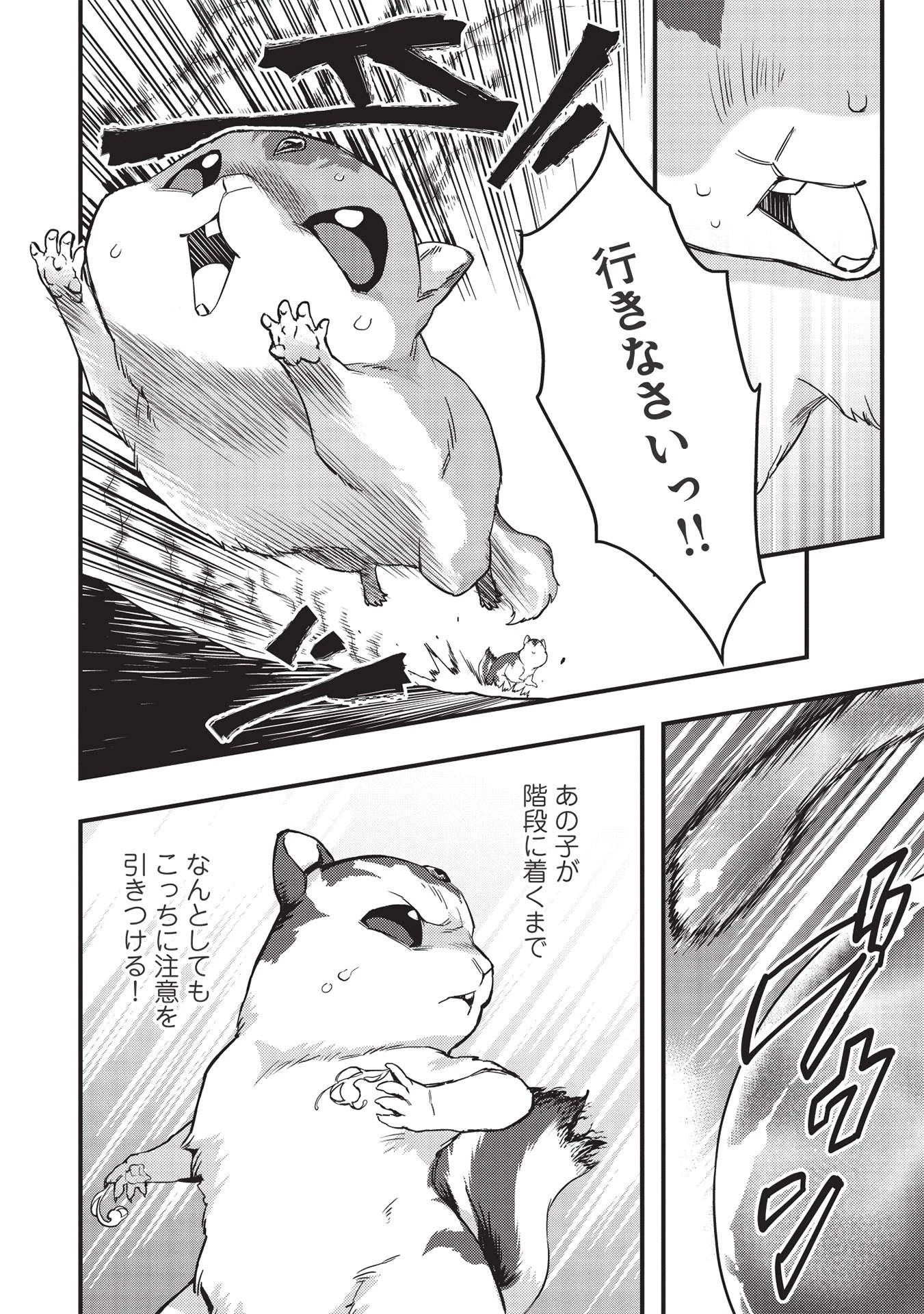 迷宮メトロ ～目覚めたら最強職だったのでシマリスを連れて新世界を歩く～ 第17話 - 4