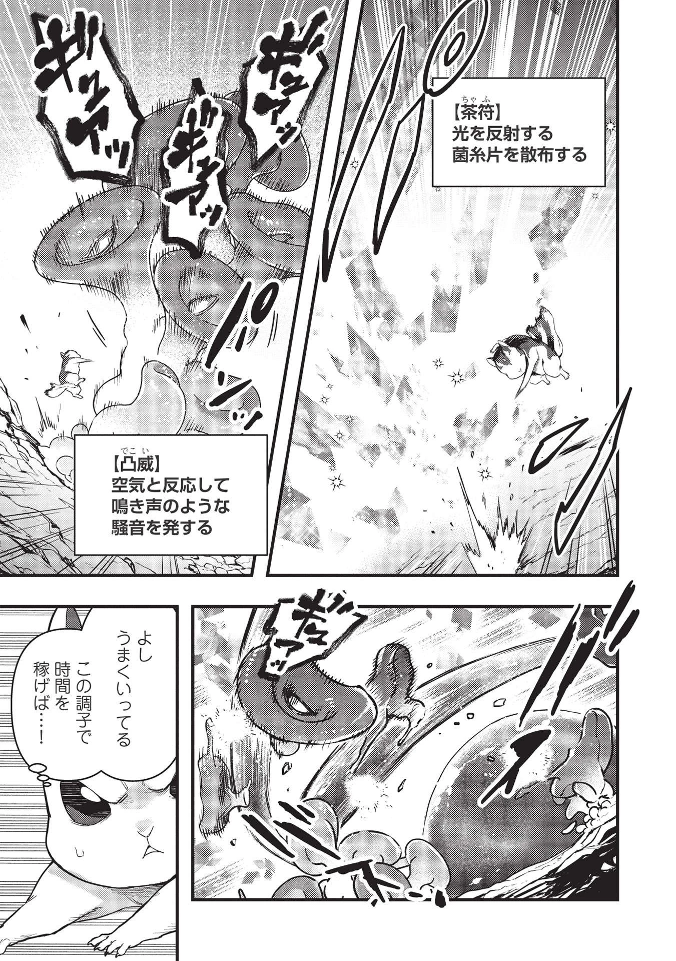 迷宮メトロ ～目覚めたら最強職だったのでシマリスを連れて新世界を歩く～ 第17話 - 5