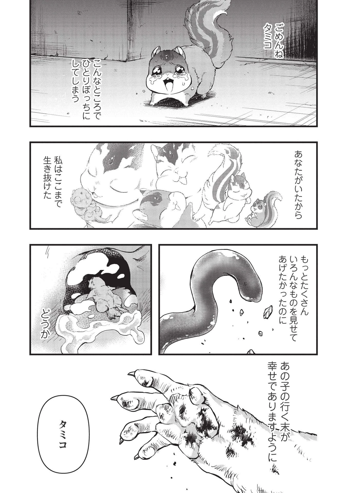 迷宮メトロ ～目覚めたら最強職だったのでシマリスを連れて新世界を歩く～ 第17話 - 9
