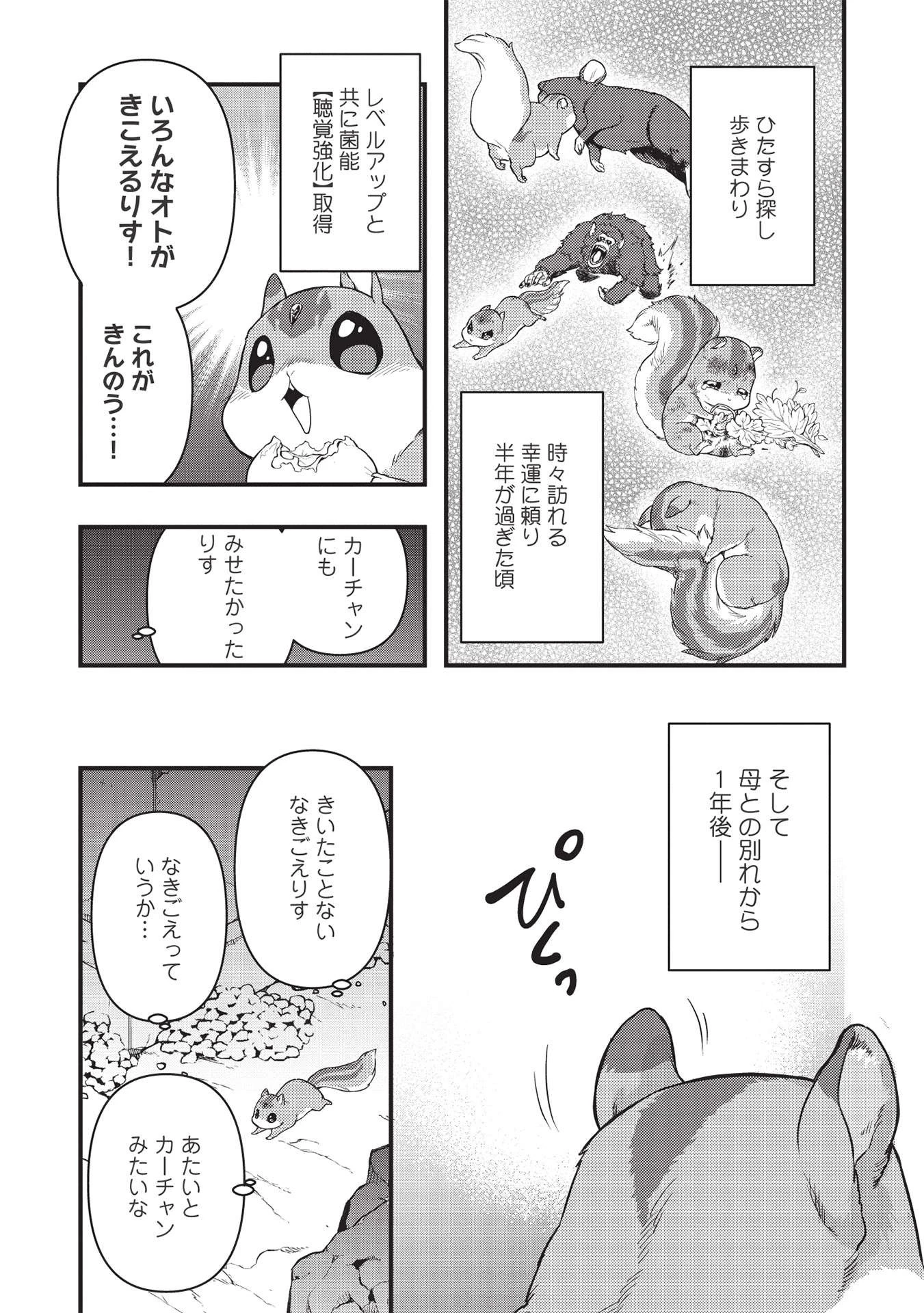 迷宮メトロ ～目覚めたら最強職だったのでシマリスを連れて新世界を歩く～ 第17話 - 15