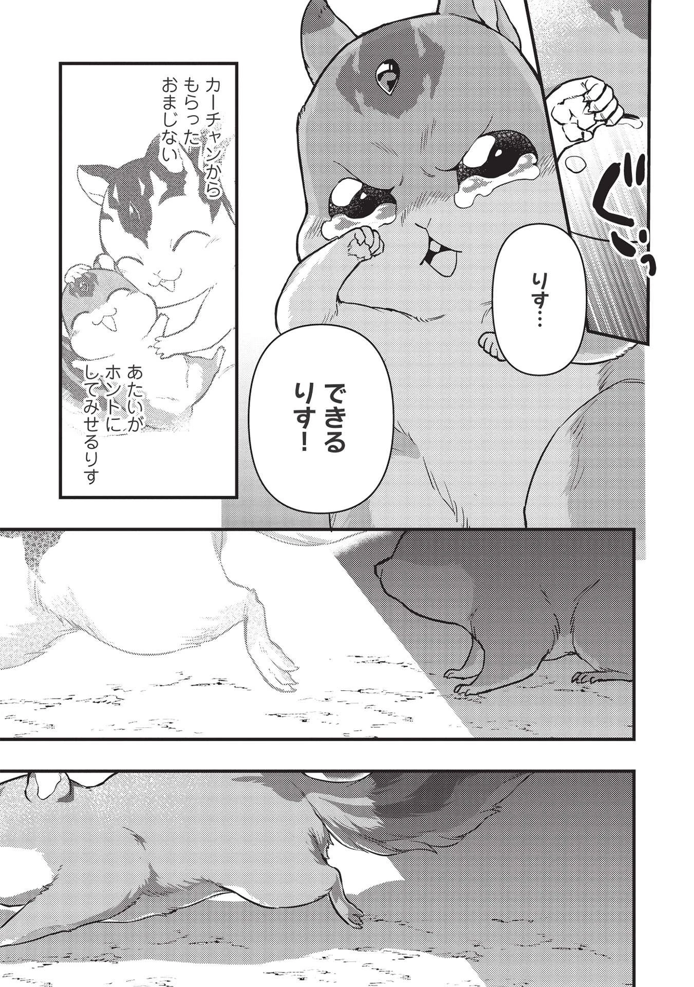 迷宮メトロ ～目覚めたら最強職だったのでシマリスを連れて新世界を歩く～ 第17話 - 19