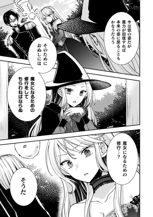 王子様なんて、こっちから願い下げですわ!～追放された元悪役令嬢、魔法の力で見返します～ 第5話 - 6