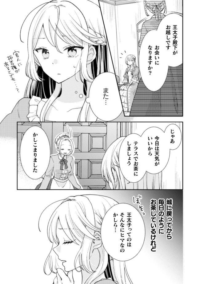 王子様なんて、こっちから願い下げですわ!～追放された元悪役令嬢、魔法の力で見返します～ 第7話 - 14