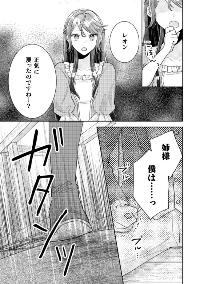 王子様なんて、こっちから願い下げですわ!～追放された元悪役令嬢、魔法の力で見返します～ 第17話 - 13