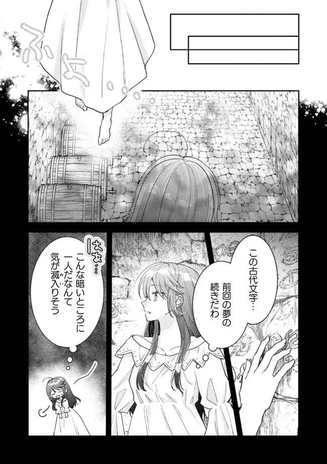 王子様なんて、こっちから願い下げですわ!～追放された元悪役令嬢、魔法の力で見返します～ 第21話 - 17