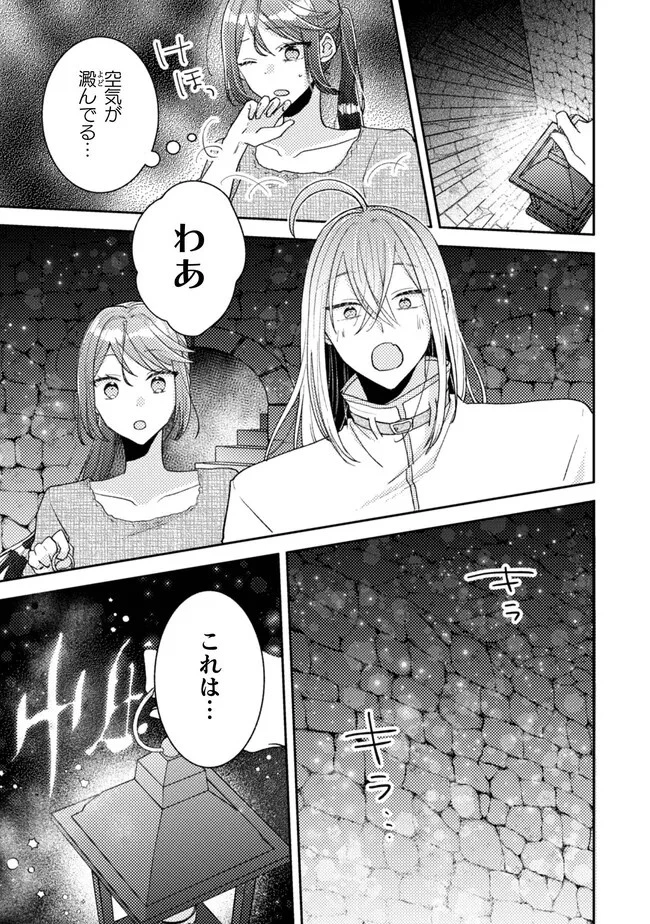 王子様なんて、こっちから願い下げですわ!～追放された元悪役令嬢、魔法の力で見返します～ 第22話 - 15