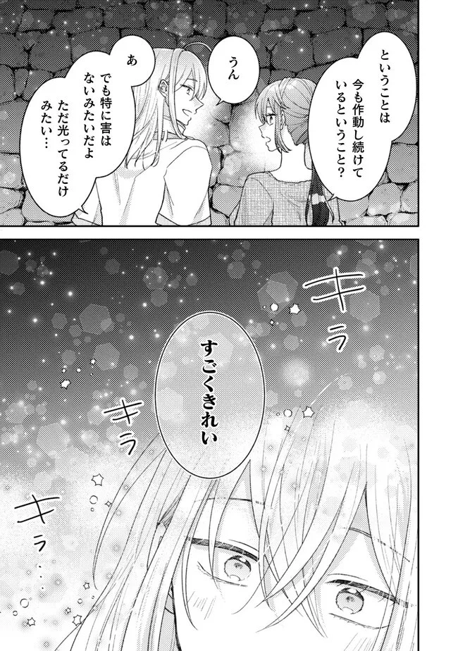 王子様なんて、こっちから願い下げですわ!～追放された元悪役令嬢、魔法の力で見返します～ 第22話 - 17