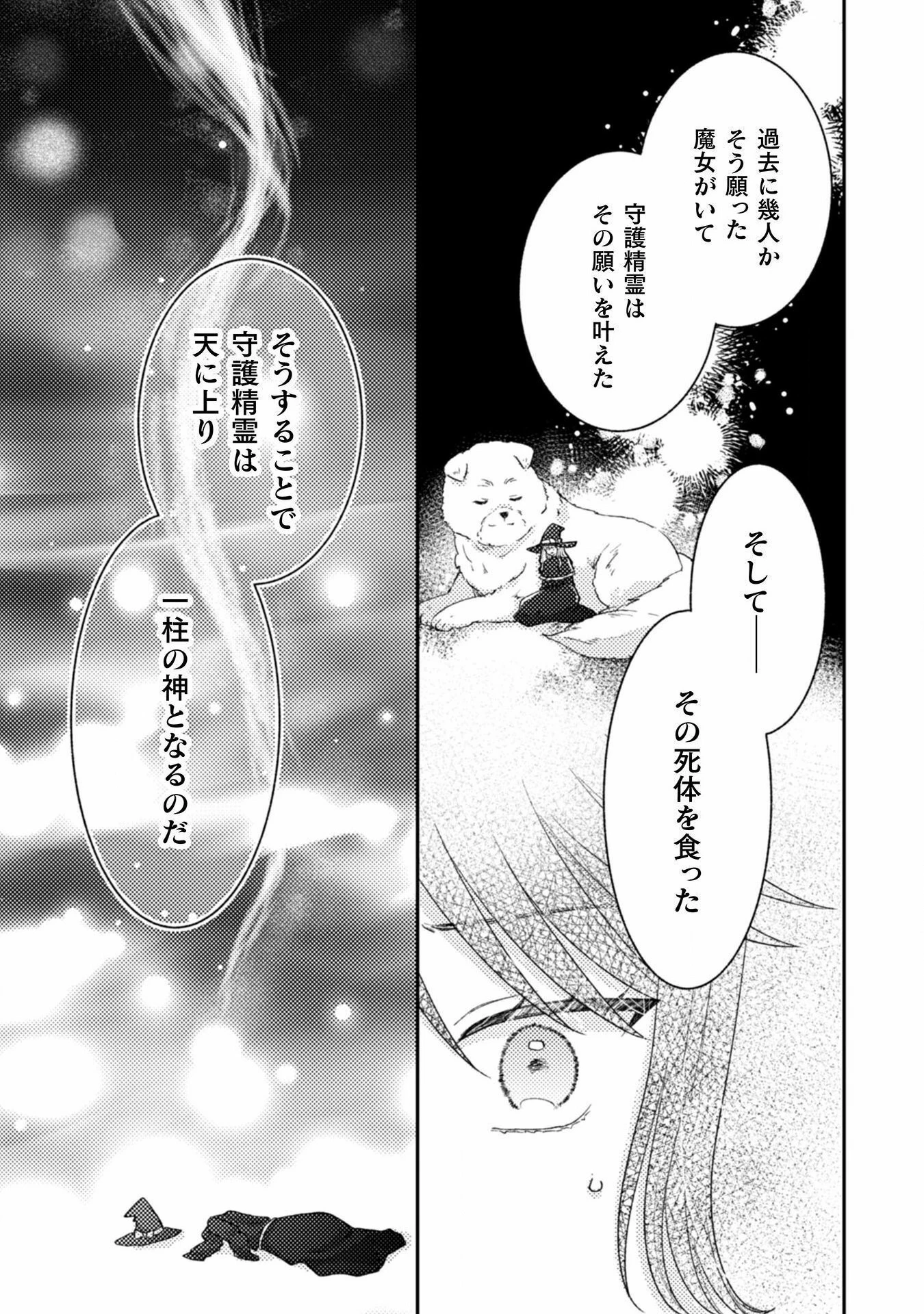 王子様なんて、こっちから願い下げですわ!～追放された元悪役令嬢、魔法の力で見返します～ 第27話 - 5