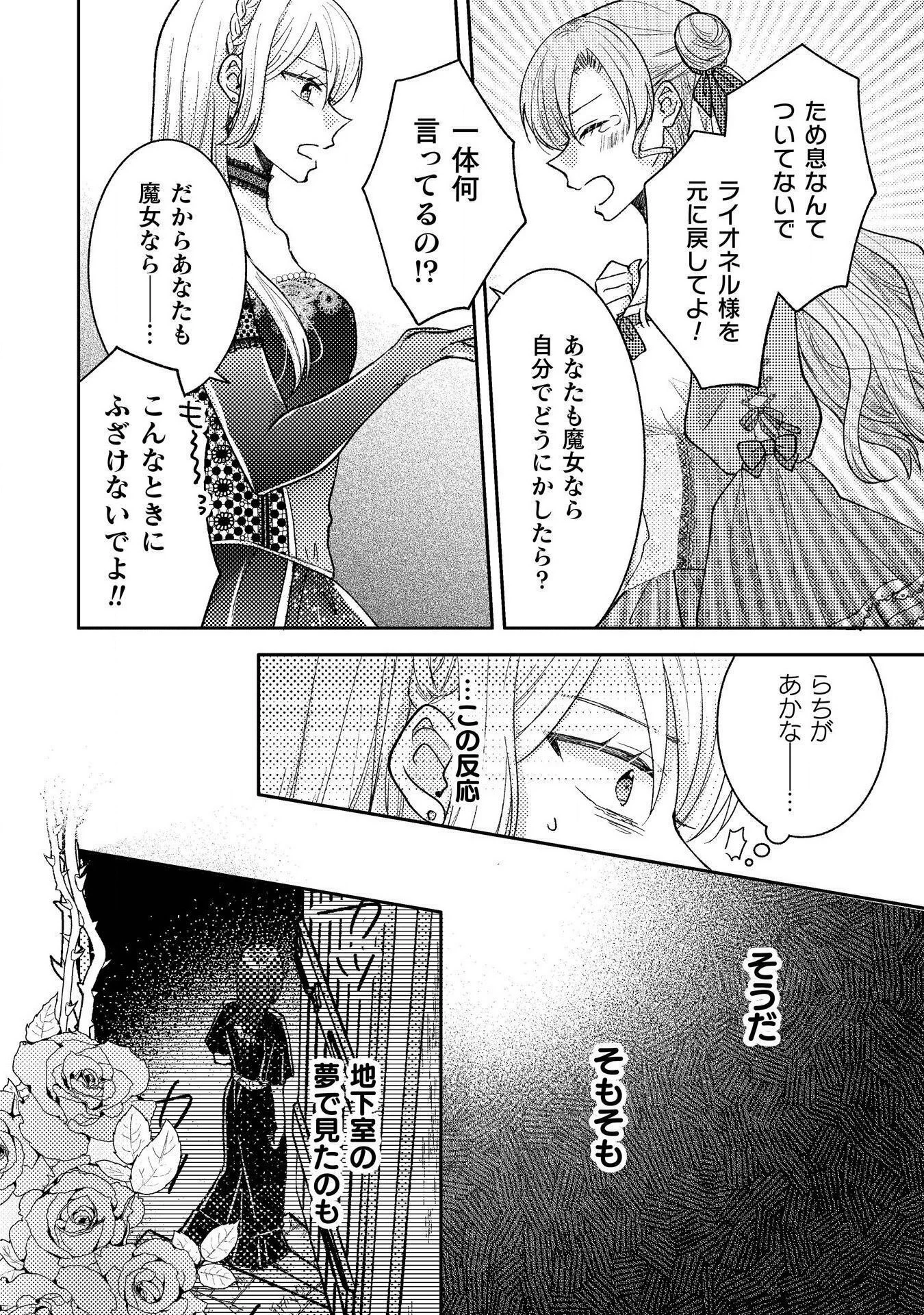 王子様なんて、こっちから願い下げですわ!～追放された元悪役令嬢、魔法の力で見返します～ 第31話 - 22