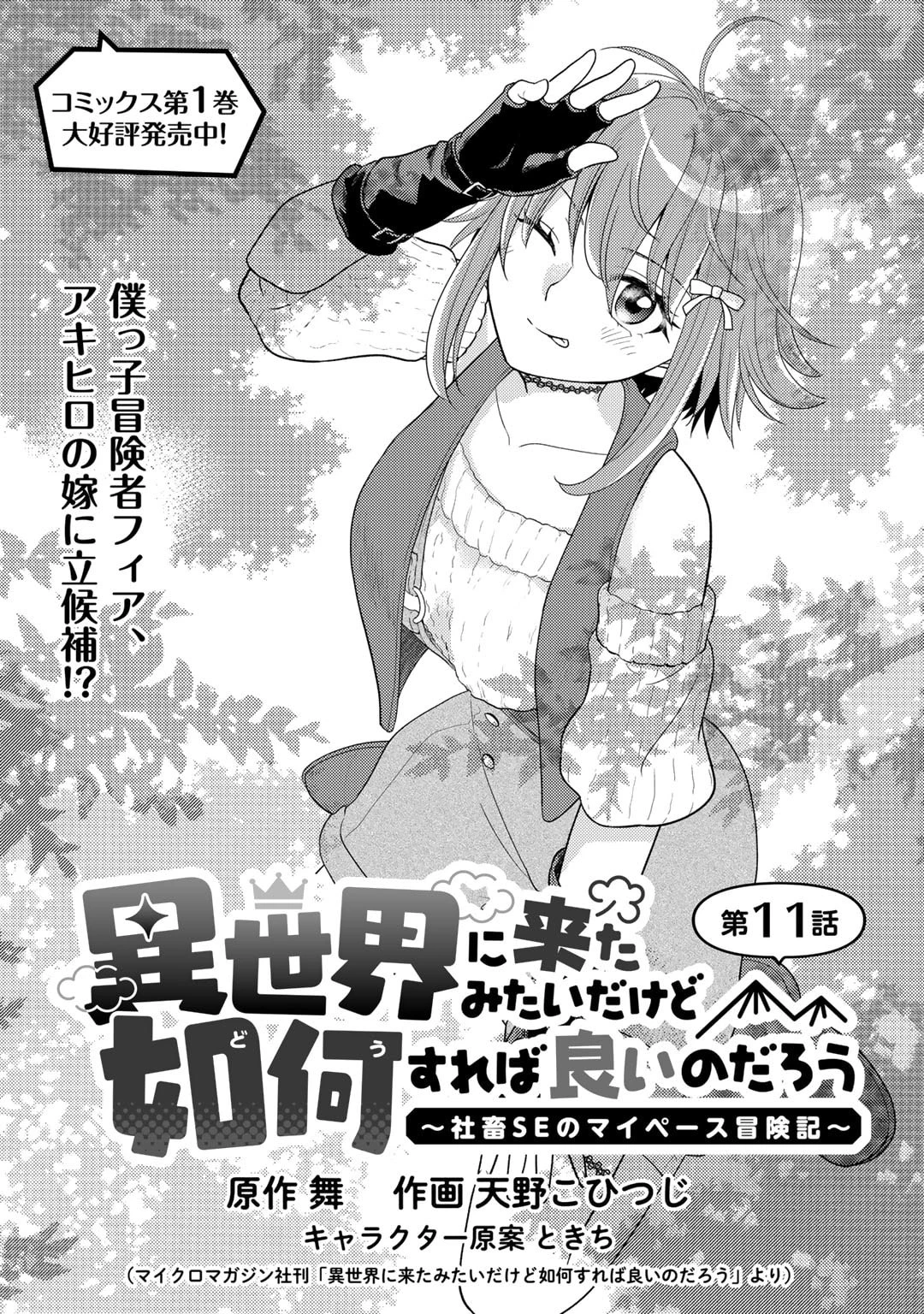 異世界に来たみたいだけど如何すれば良いのだろう～社畜SEのマイペース冒険記～ 第11話 - 1