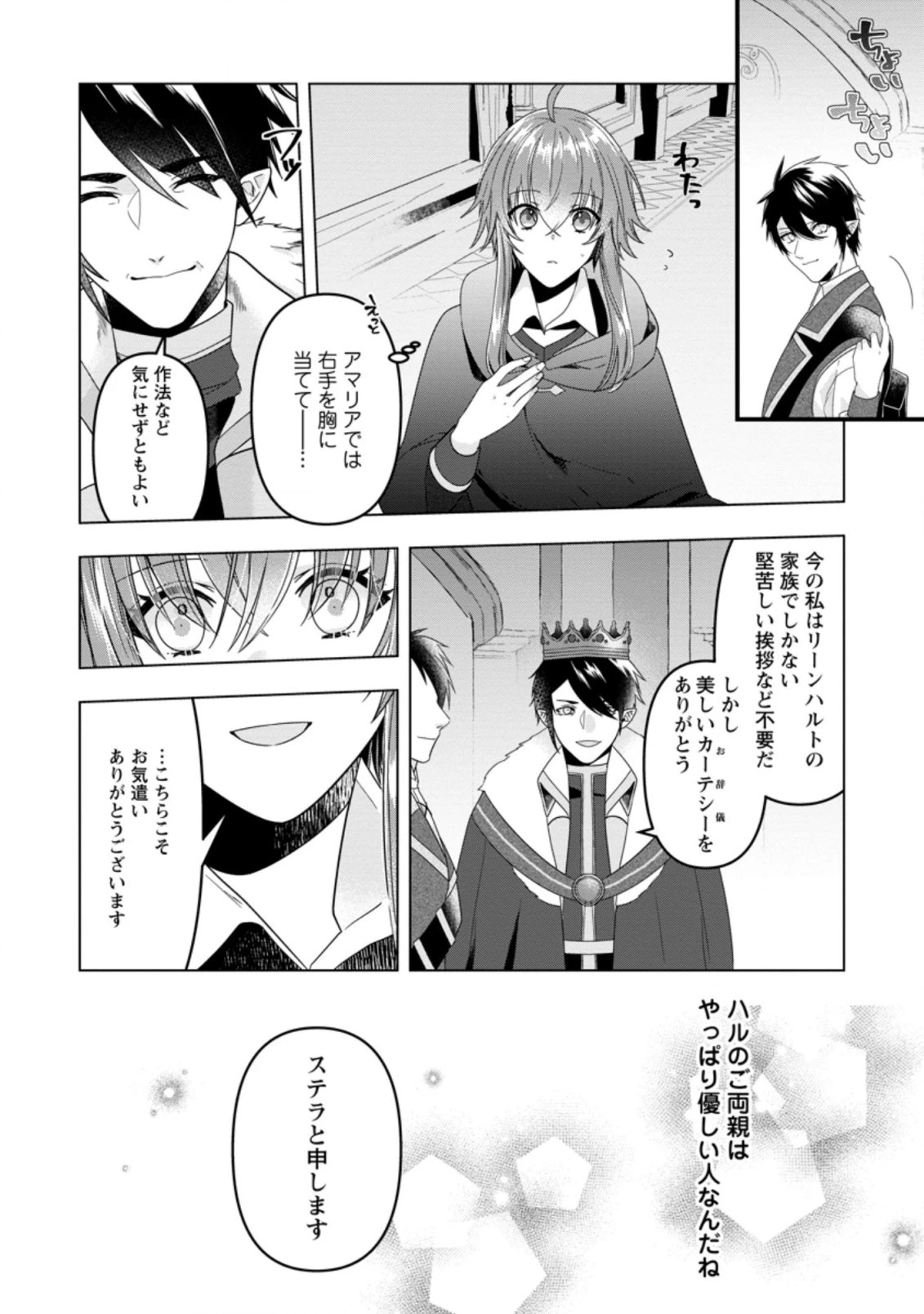わたし、聖女じゃありませんから 第13.2話 - 9