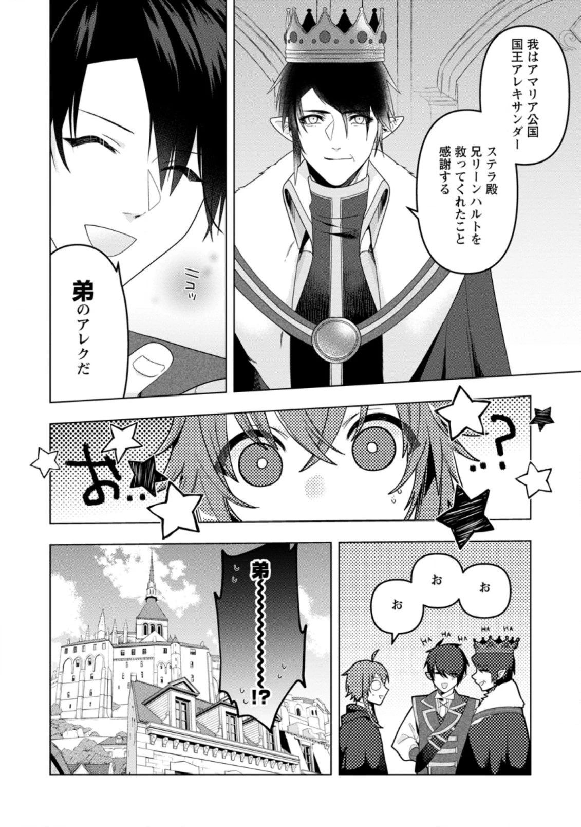 わたし、聖女じゃありませんから 第13.2話 - 11
