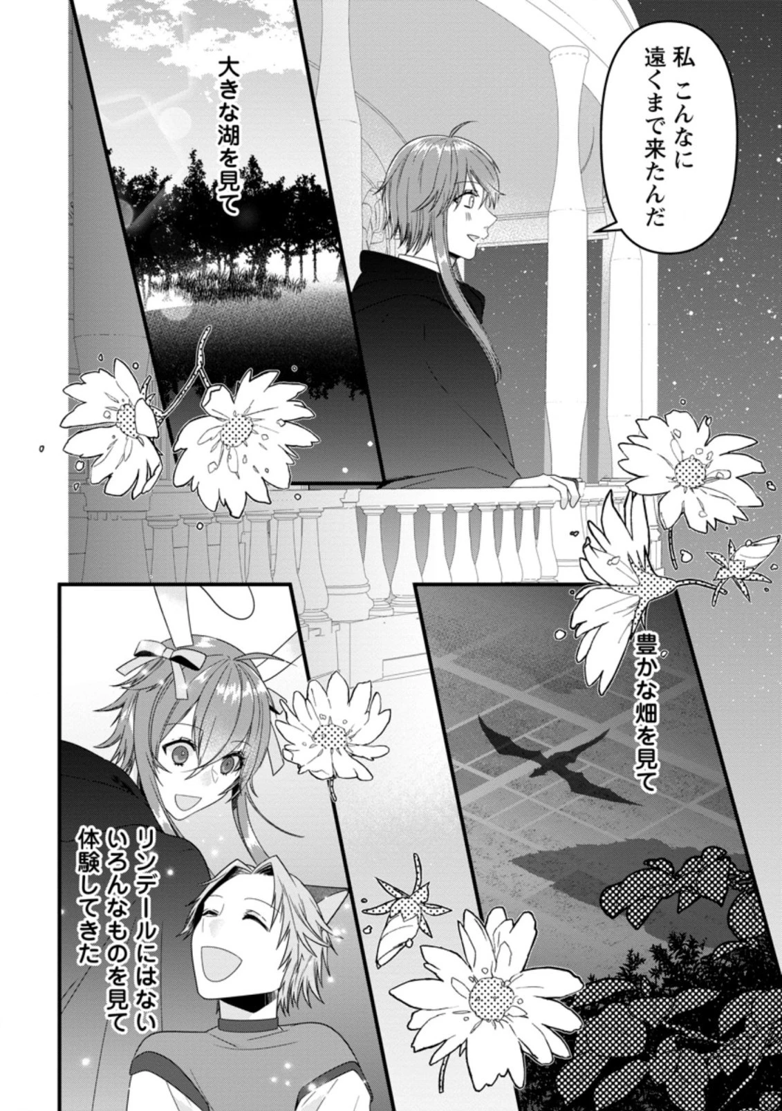 わたし、聖女じゃありませんから 第13.3話 - 4