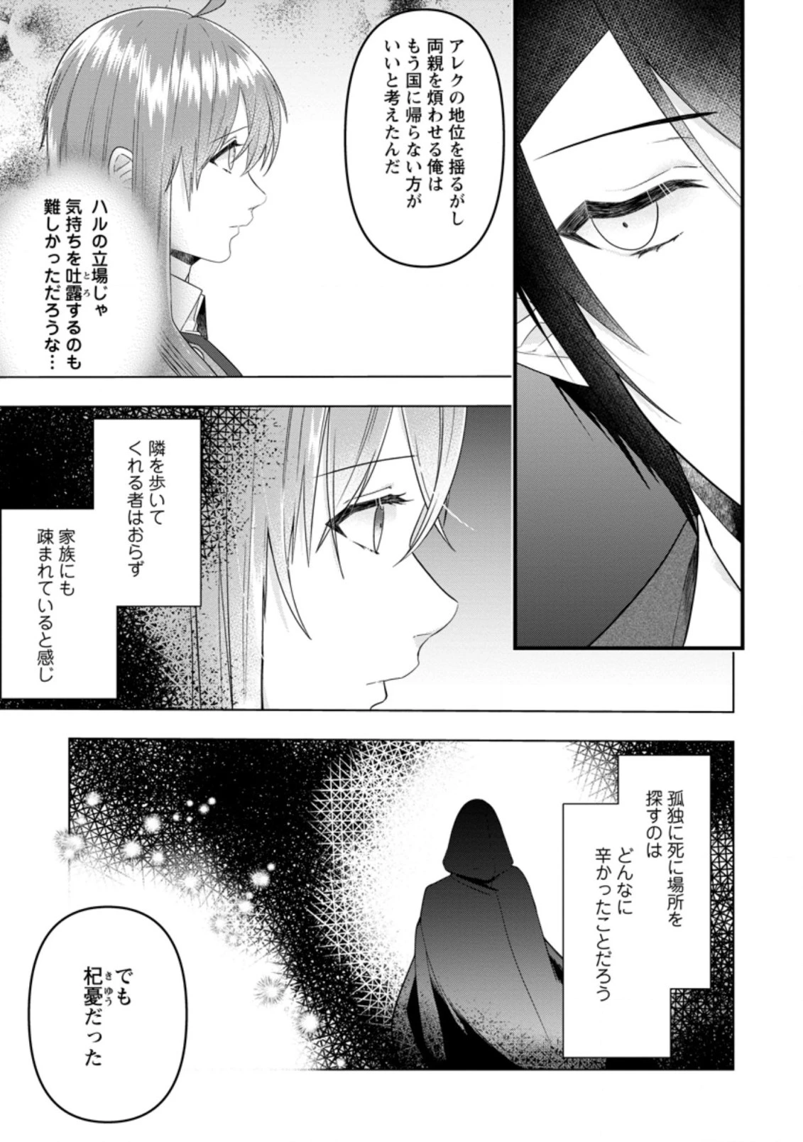 わたし、聖女じゃありませんから 第14.1話 - 8