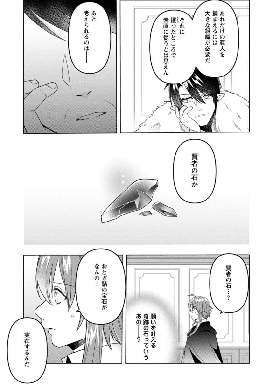 わたし、聖女じゃありませんから 第14.3話 - 9