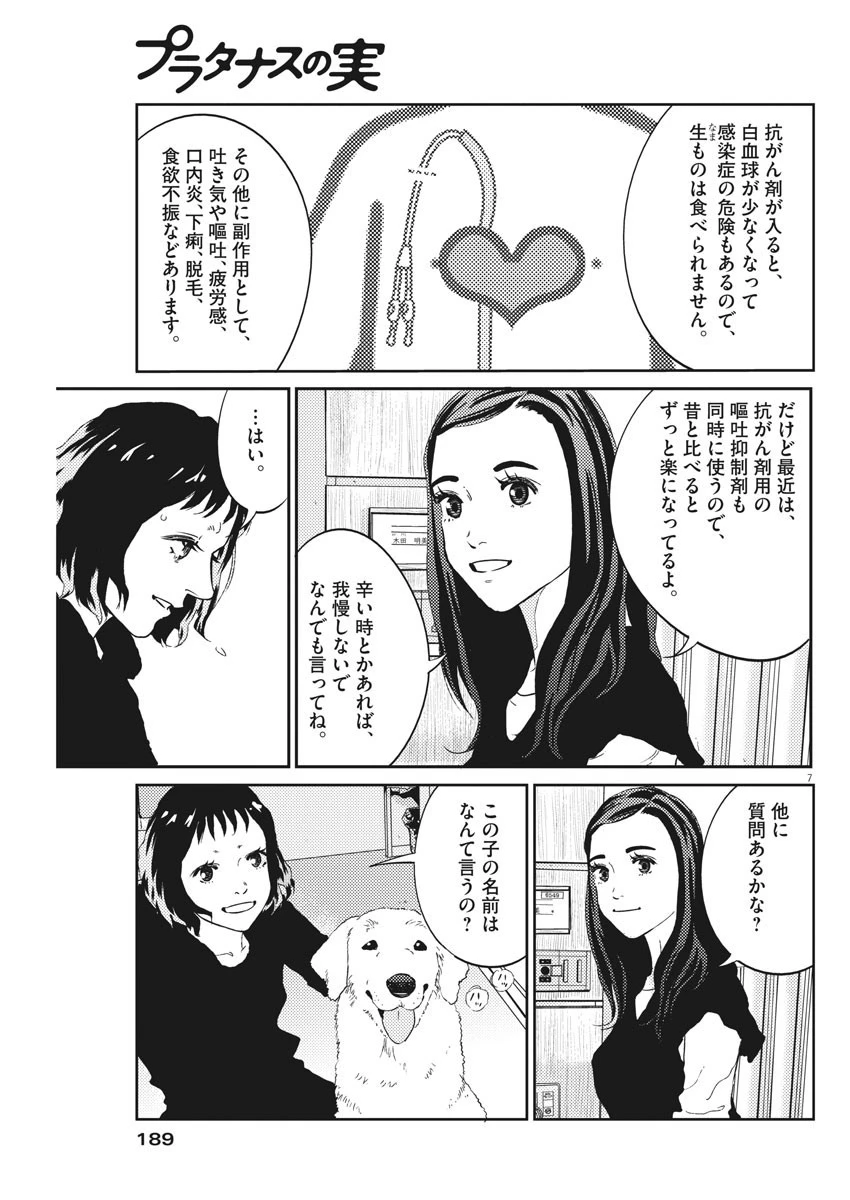 プラタナスの実−小児科医療チャンネル− 第17話 - 7