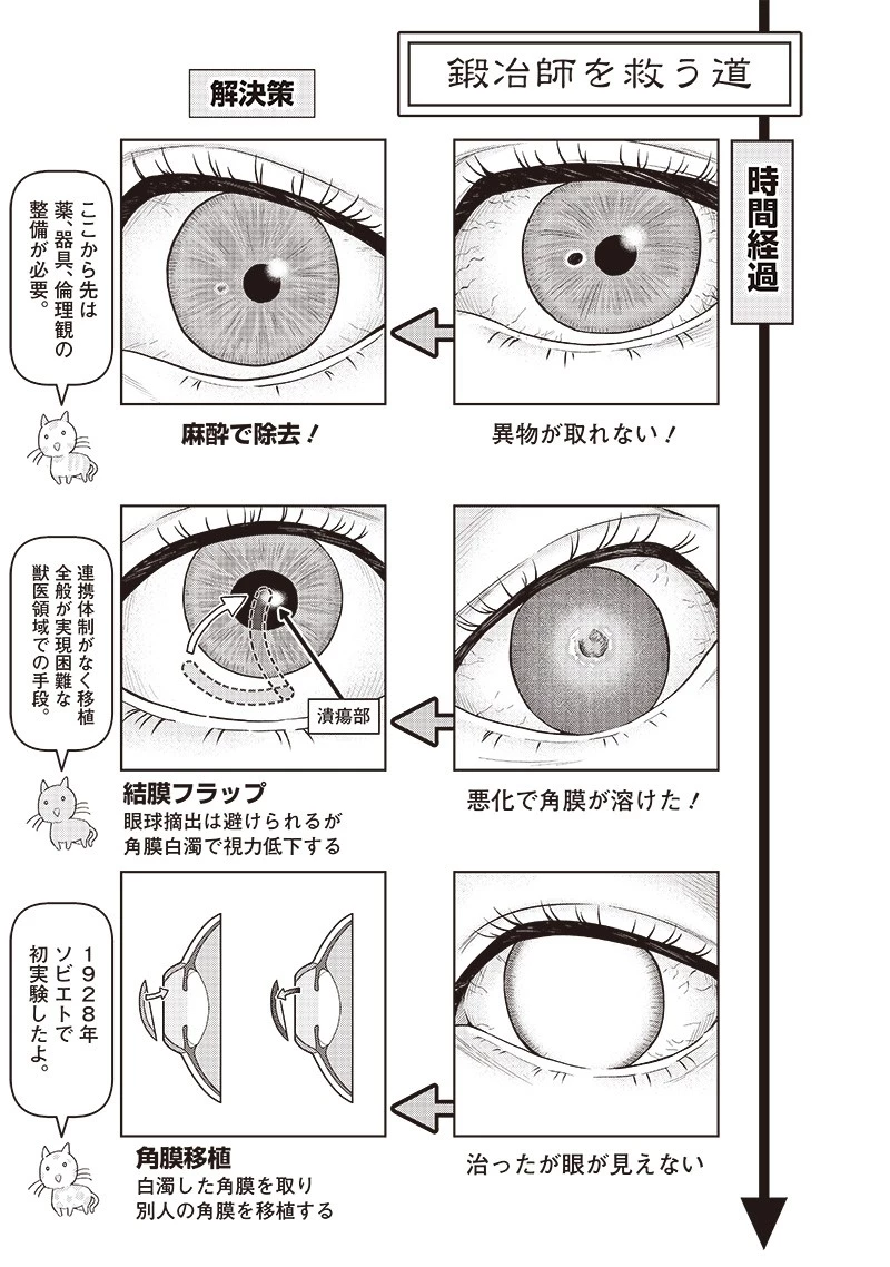 勇者一行の専属医 第10.2話 - 8